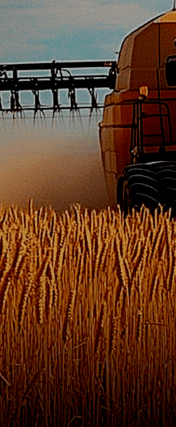 Agriculture